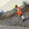 CONTROL DE MALEZA EN INDUSTRIA