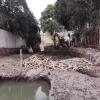 Limpieza de terreno y demolición.