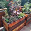 Diseño de maceteras con jardinería.