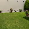 Del Paisaje Studio