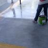 Makar