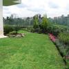 COLOCACION DE PASTO