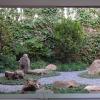 JARDINES JAPONÉS