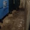 Limpieza profunda contenedores de basura