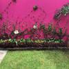 Diseño de jardinera