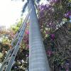 Verde Jardin  Servicios
