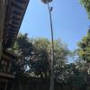 Verde Jardin  Servicios
