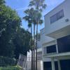 Jardinería