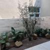 Jardinería