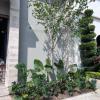 Jardinería