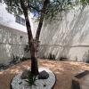 Jardinería