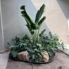 Jardinería