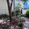 Jardinería