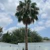 Jardinería