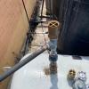 Servicio Quintero