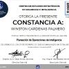 Invesgacion De Campo