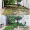Jardines & Tree Care San José