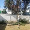 Jardines & Tree Care San José