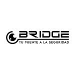 Bridge Oaxaca