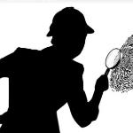 Berpizinvestigaciones