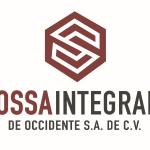 Ossa Industrial De Occidente Sa De Cv