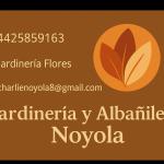 Charlie Noyola Flores