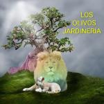 Paulo Cesar Romero Onofre