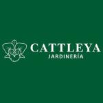 Cattleya Jardineria