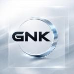 Grupo Gnk Admin Y Co