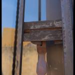 Maria De Jesus Ferreira  González