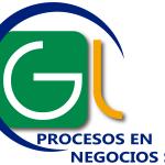 Gl Procesos En Negocios