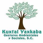 Kuxtal Yaxkaba Gestores Ambientales Y Sociales Sc