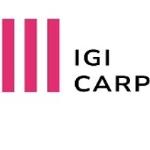 Igi Carpinteros