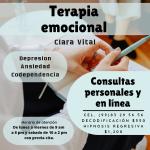 Terapia Emocional