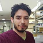 Jorge Alejandro Pérez Niño