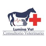 Lumina Vet