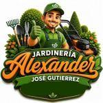 Alexanders