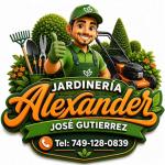 Alexanders