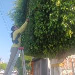 Angelita Sarahi Valencia