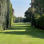 Verde Jardin  Servicios