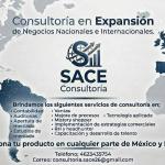 Consultoría Sace