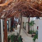 Palapas Y Muelles De La Riviera Palapas Y Muelles De La Riviera