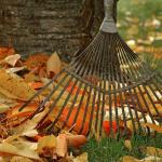 José Antonio Romero Badillo José Antonio Romero Badillo