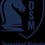 Dsm Red De Estrategia Y Servicios Empresariales