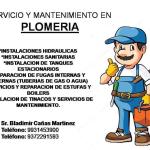 Bladimir Cañas Martinez Bladimir Cañas Martinez