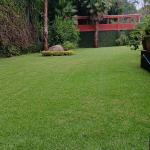 Bluegardencuernavaca Garden Bluegardencuernavaca Garden