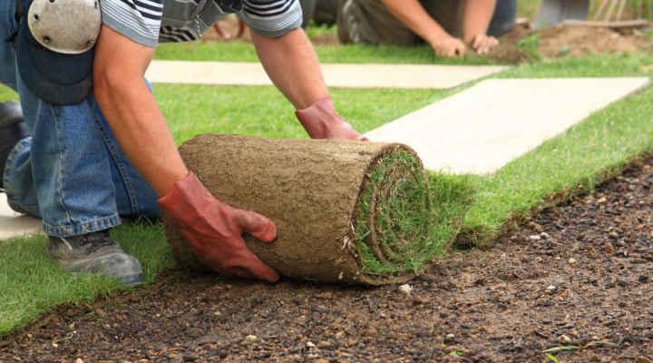 Cómo Montar una Empresa de Jardinería en México