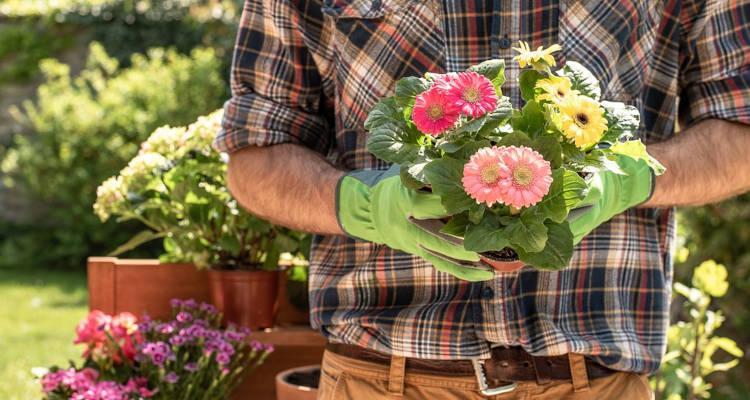 Cómo hacer una cotización de jardinería: Plantilla de ejemplo