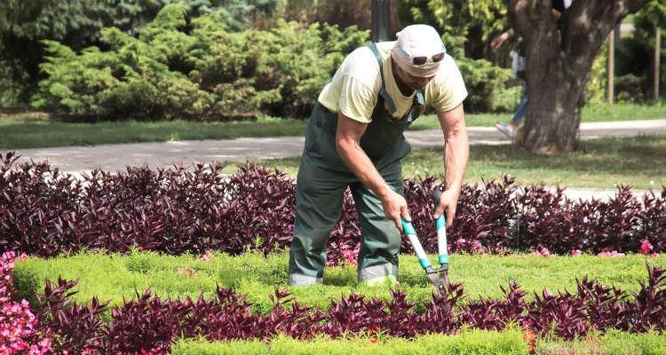 Ferias de jardinería en México